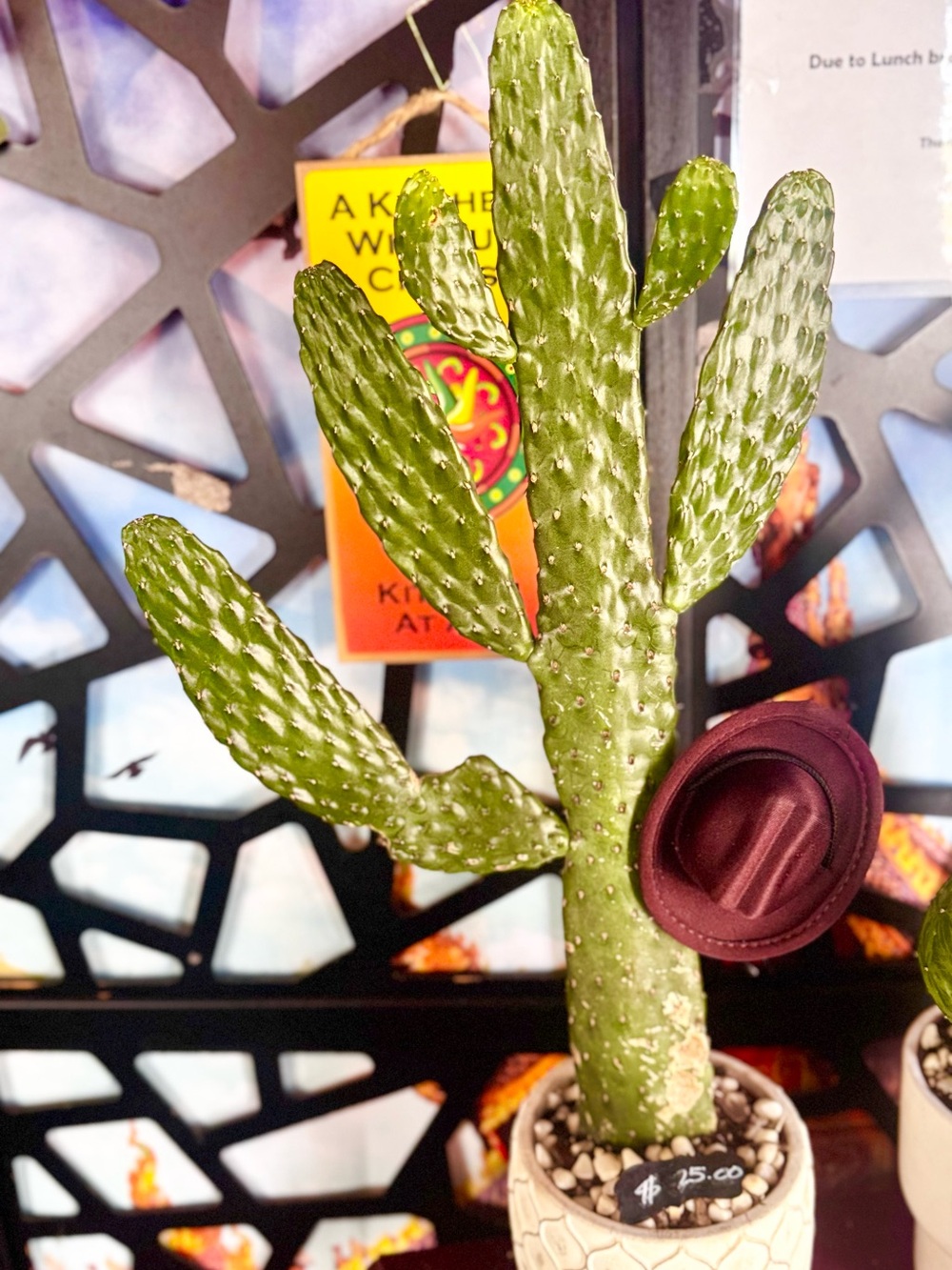 Potted Opuntia Cactus (Cow boy cactus) in Textured White Ceramic Planter
